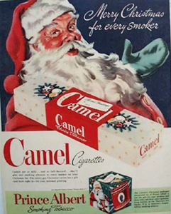 Camel